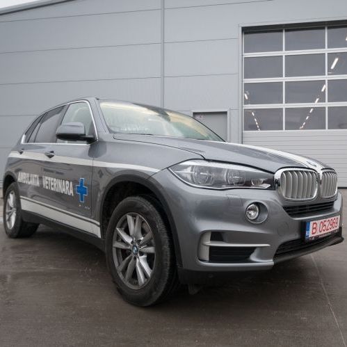 Veterinary ambulance - BMW  - DELTAMED SRL