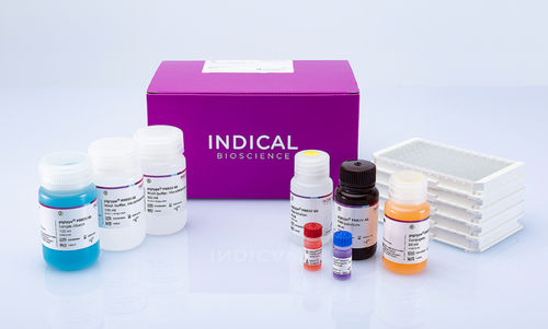 Respiratory infection test kit - pigtype - INDICAL BIOSCIENCE - for ...