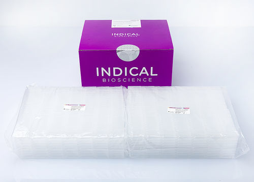 Veterinary microplate - IndiMag 48 PW 24-Sample Block - INDICAL BIOSCIENCE GmbH - for sample storage / 96-well / disposable