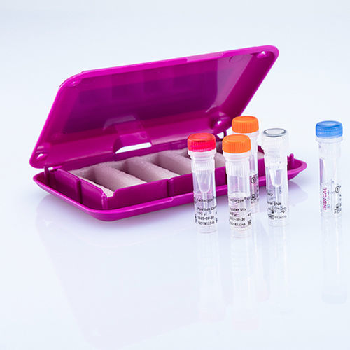 Veterinary assay kit - bactotype MAP PCR Kit - INDICAL BIOSCIENCE GmbH - for animals / for mycobacteria / tissue