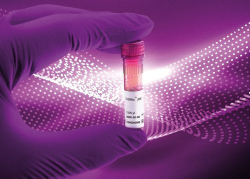 Veterinary laboratory reagent - IndiMix JOE - INDICAL BIOSCIENCE GmbH - enzyme / buffer solution / reverse transcriptase