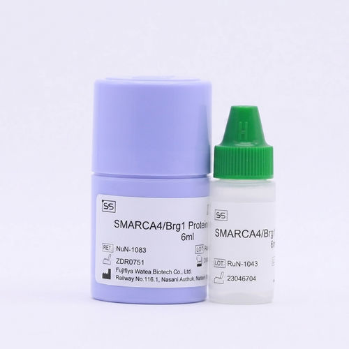 Antibody reagent kit - Beijing Strong Biotechnologies, Inc - protein / for SMARCA4 gene