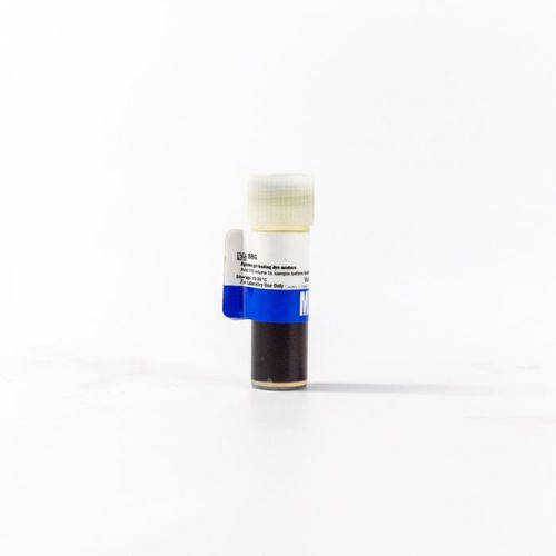Agarose gel reagent - 112327204 - MP Biomedicals - loading buffer / for research / for electrophoresis