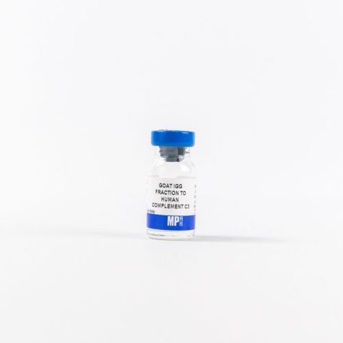 Protein reagent - 0855033 - MP Biomedicals - monoclonal antibody / for research / lyophilized