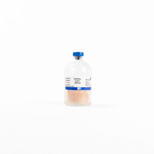Serum reagent - 08642921 - MP Biomedicals - antibody / goat serum / bovine serum albumin
