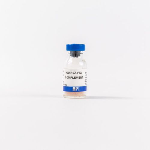 Protein reagent - 0855854 - MP Biomedicals - serum / for research / lyophilized