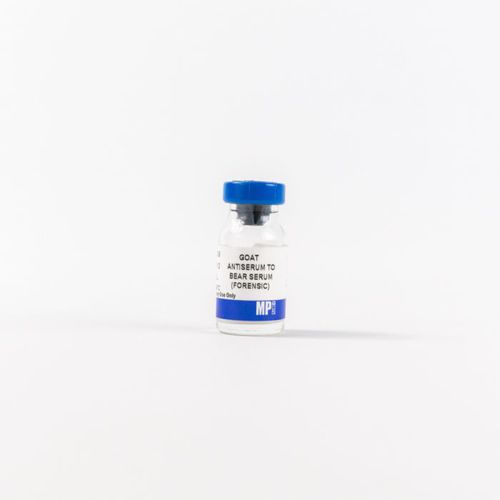 Protein reagent - 0856009 - MP Biomedicals - antibody / antiserum / for research