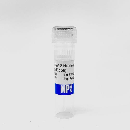 Protein reagent - 0872050-CF - MP Biomedicals - reagent medium / for research / SARS-COV-2