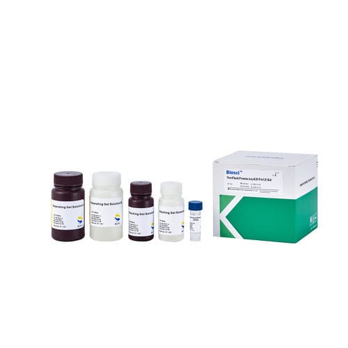 Western blot reagent - BioSci™  - Dakewe (Shenzhen) Medical Equipment Co., Ltd. - solution / for research / protein