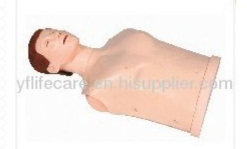 Emergency care training manikin - GD/CPR170S - Ningbo Yifeng Lifecare - breathing / CPR / chest