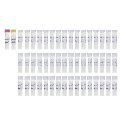 Medium reagent - RK20294 - ABclonal Technology - for PCR / for next-generation sequencing / for hybridization