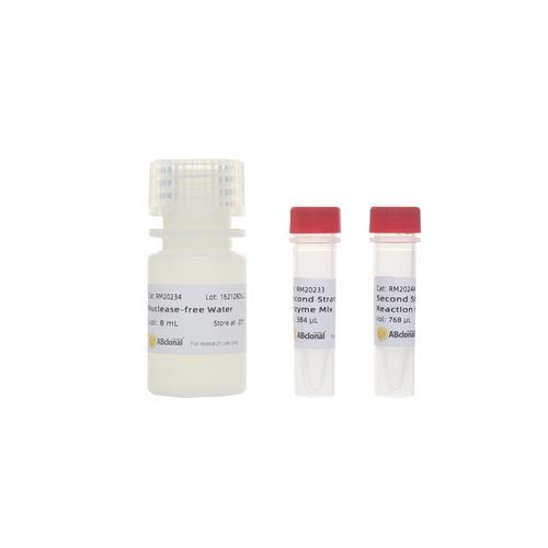 Buffer solution reagent - RK20346 - ABclonal Technology - enzyme / for ...