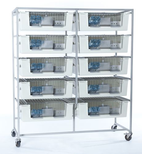Guinea pig animal research cage - 5053101S - Zoonlab GmbH - modular / 10-compartment / stainless steel