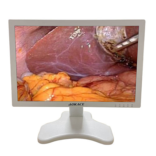 endoscopy display - Wuzhou AOKACE Technology