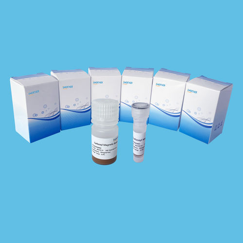 Magnetic bead-based reagent - EmerTher®Carboxyl Magnetic Beads - The EmerTher Company - for protein analysis / for DNA concentration / for RNA concentration