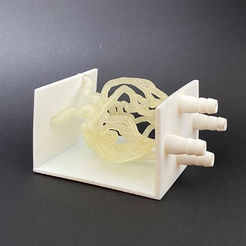 Blood vessels vascular model - Schiner3DRepro - vascular surgery / training