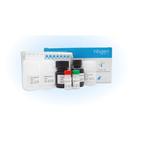 Rapid herpes test - ZP017 - Ring Biotechnology Co Ltd. - veterinary / for swine / goat