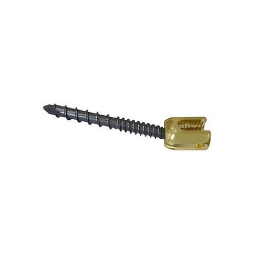Polyaxial pedicle screw - Z 6 - Changzhou Zener Medtec
