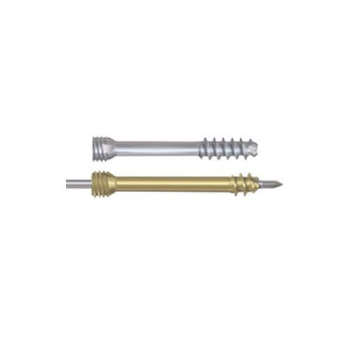 General purpose compression bone screw - Sagiter - Changzhou Zener Medtec - titanium