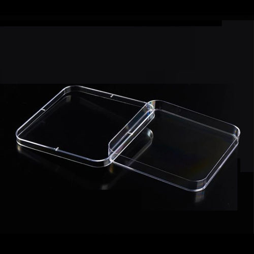 Square Petri dish C01 HWTAi