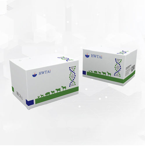 Rapid infectious disease test - HWTAi - for giardiasis / for diarrhea / for cattle
