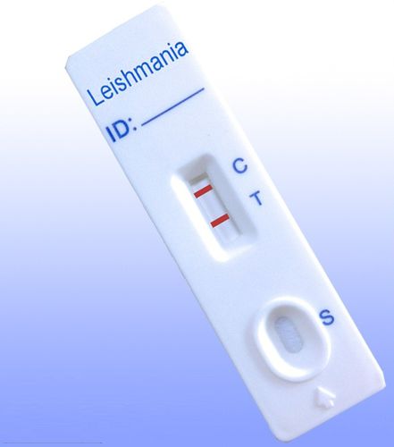 Rapid Leishmania test - ILE-402 - HWTAi - leishmaniasis / for serology / IgG