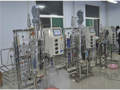 Laboratory bioreactor - 85 - KNIK CO.,LTD. - for microbial fermentation / for parallel synthesis