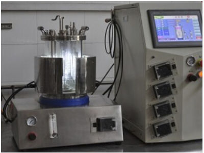 Laboratory photobioreactor - BLBIO-GCL series - KNIK CO.,LTD. - for microbial fermentation / autoclavable