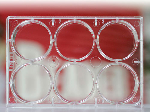 Laboratory microplate - 40406 - BEAVER - for cell cultures / 6-well / cell