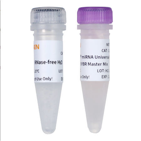 DNA polymerase reagent - 11171ES series - Yeasen Biotechnology (Shanghai) Co., Ltd - dye / for scientific research / for qPCR