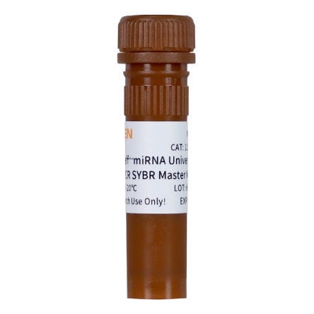 Research reagent - Hieff™  - Yeasen Biotechnology (Shanghai) Co., Ltd - Taq DNA polymerase / dye / sample preparation