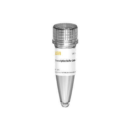 Buffer solution reagent - 10627ES series - Yeasen Biotechnology (Shanghai) Co., Ltd - RNA Synthesis / liquid / GMP