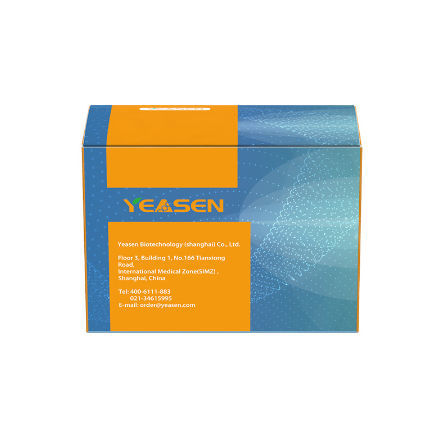 Sample preparation reagent kit - 18461ES series - Yeasen Biotechnology (Shanghai) Co., Ltd - solution / for research