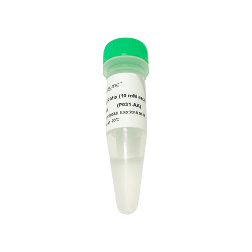 DNTP solution reagent - P031-01 - Vazyme - reverse transcriptase / for PCR / for RT-PCR