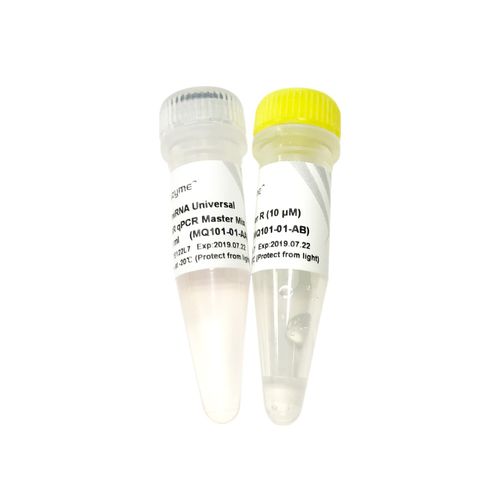 DNA polymerase reagent - MQ101-0 series - Vazyme - dye / for qPCR / hot start