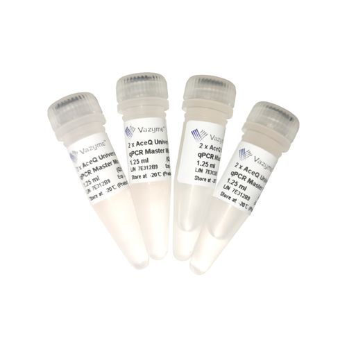 DNA polymerase reagent - AceQ - Vazyme - dye / Taq DNA polymerase / for qPCR