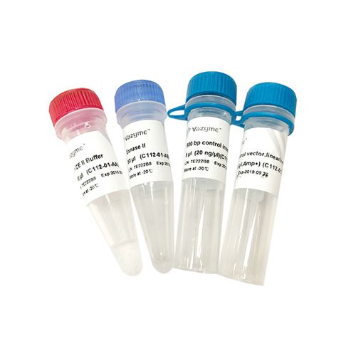 Enzyme reagent kit - ClonExpress II - Vazyme Medical Co.,Ltd - for PCR