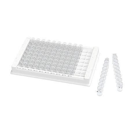 Optical measurement microplate - ELP0961W-02 - Vazyme - for molecular biology / for life sciences applications / for research