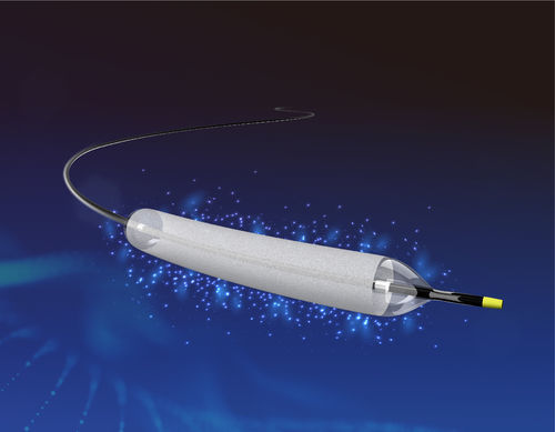 Dilatation catheter - Paclitaxel - Nanjing YDB Medical Technology Co., Ltd. - coronary / balloon / drug eluting