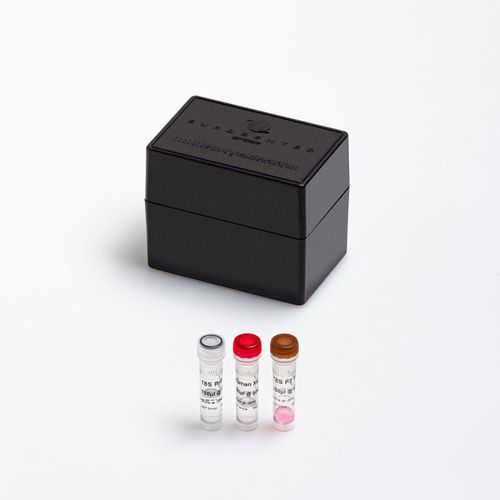 Enzyme reagent kit - FAM-TAMRA  - Eurogentec - for research / diagnostic / for qPCR