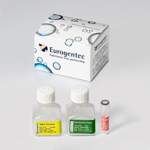 Enzyme reagent kit - HGS Diamond Taq® - Eurogentec - DNA polymerase / diagnostic / for PCR