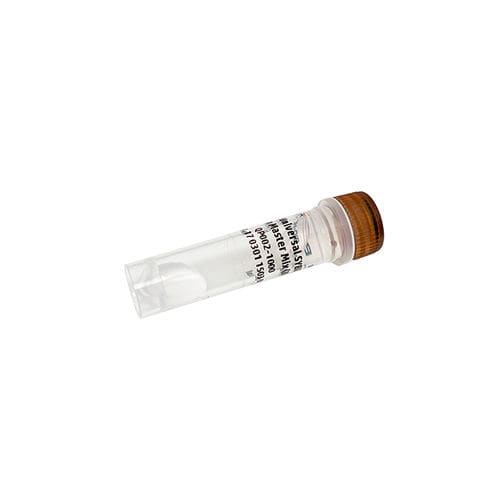 Enzyme reagent - PanProbes™ - Bio-Helix - DNA polymerase / dye / for qPCR