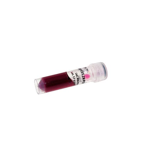 Enzyme reagent - AmpFAST - Bio-Helix - Taq DNA polymerase / genomic DNA