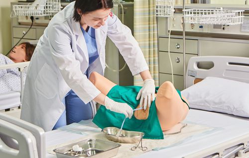 Catheterization simulator - BT-CSCF - BT Inc. - training / for general care / female