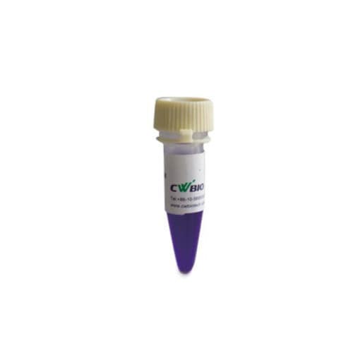 DNA polymerase reagent - 2×Flash - Jiangsu CoWin Biotech Co.,Ltd - dye / for PCR / hot start