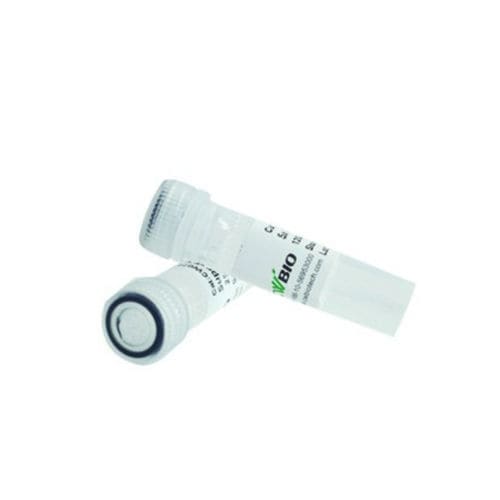 Protease reagent - CW2572L - Jiangsu CoWin Biotech Co.,Ltd - proteinase K / for microbiology / pH