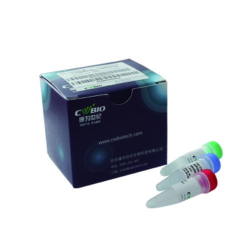 Enzyme reagent kit - Jiangsu CoWin Biotech Co.,Ltd - DNA polymerase / NGS / for DNA library preparation