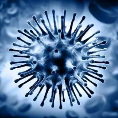 Infectious disease test kit - Artron Bioresearch Inc. - influenza A / influenza B / nasopharyngeal
