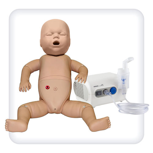 Gastric anatomical model - M1044 - SATC solution - gluteal / joint / nasal