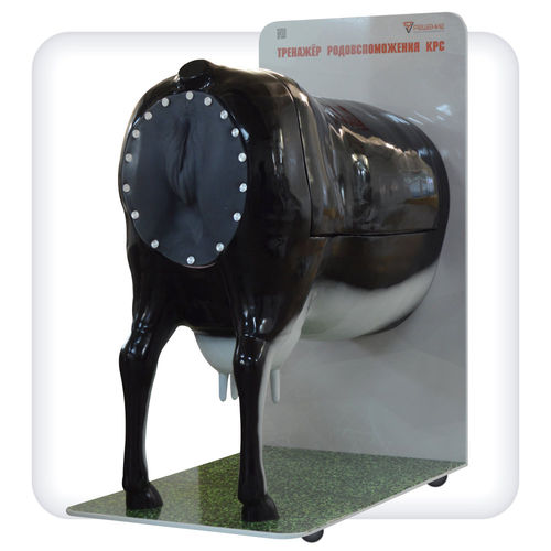 Training simulator - B1001 - SATC solution - delivery / veterinary / cattle